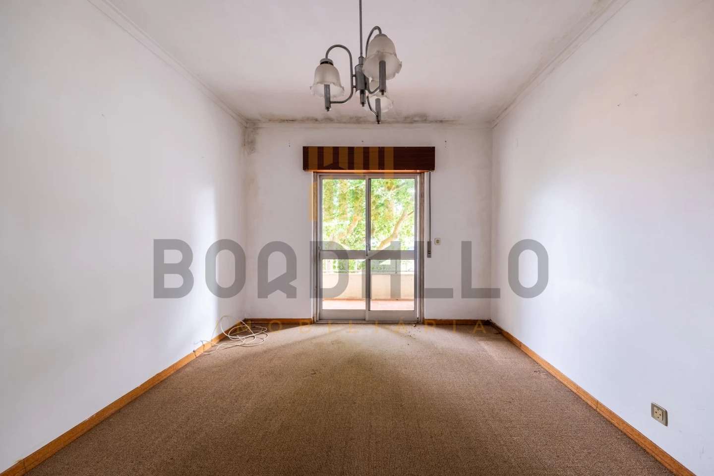 IDf041d101-0000-0500-0000-000019c0c7d8.jpg
